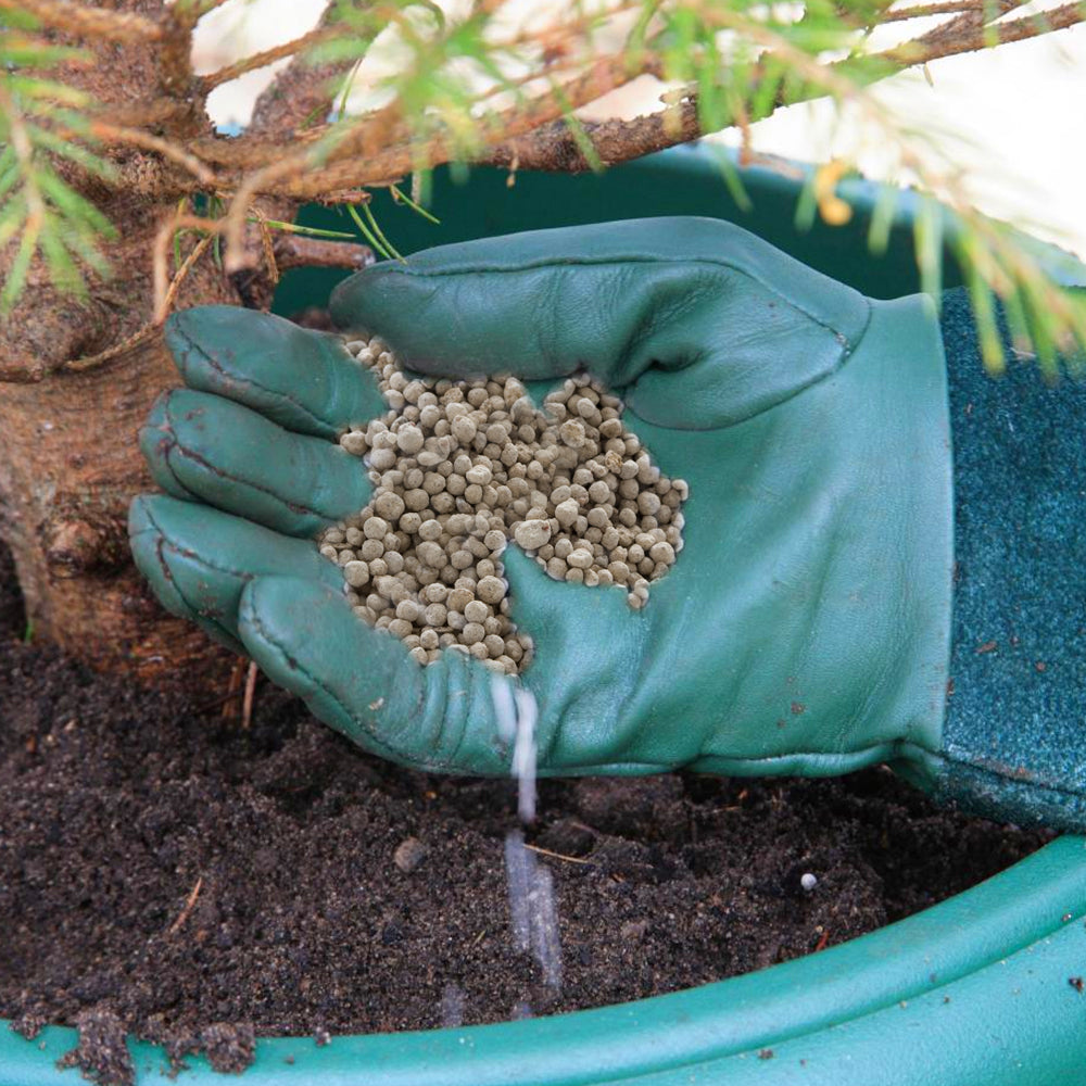 Growmore Fertiliser 7-7-7