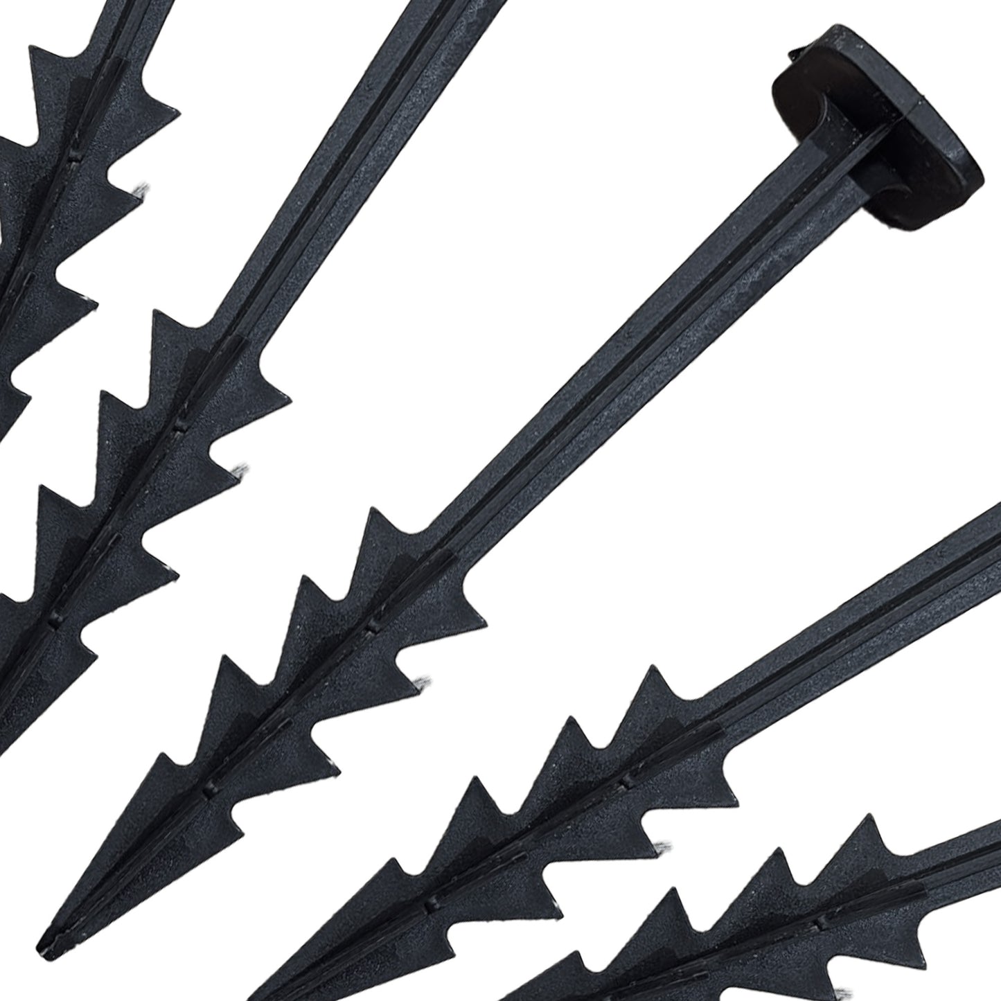 Square Pegs 6" (Variation Master)