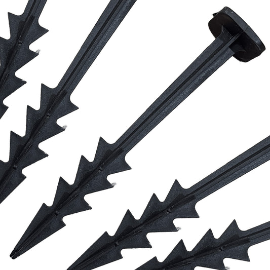 Square Pegs 6" (Variation Master)