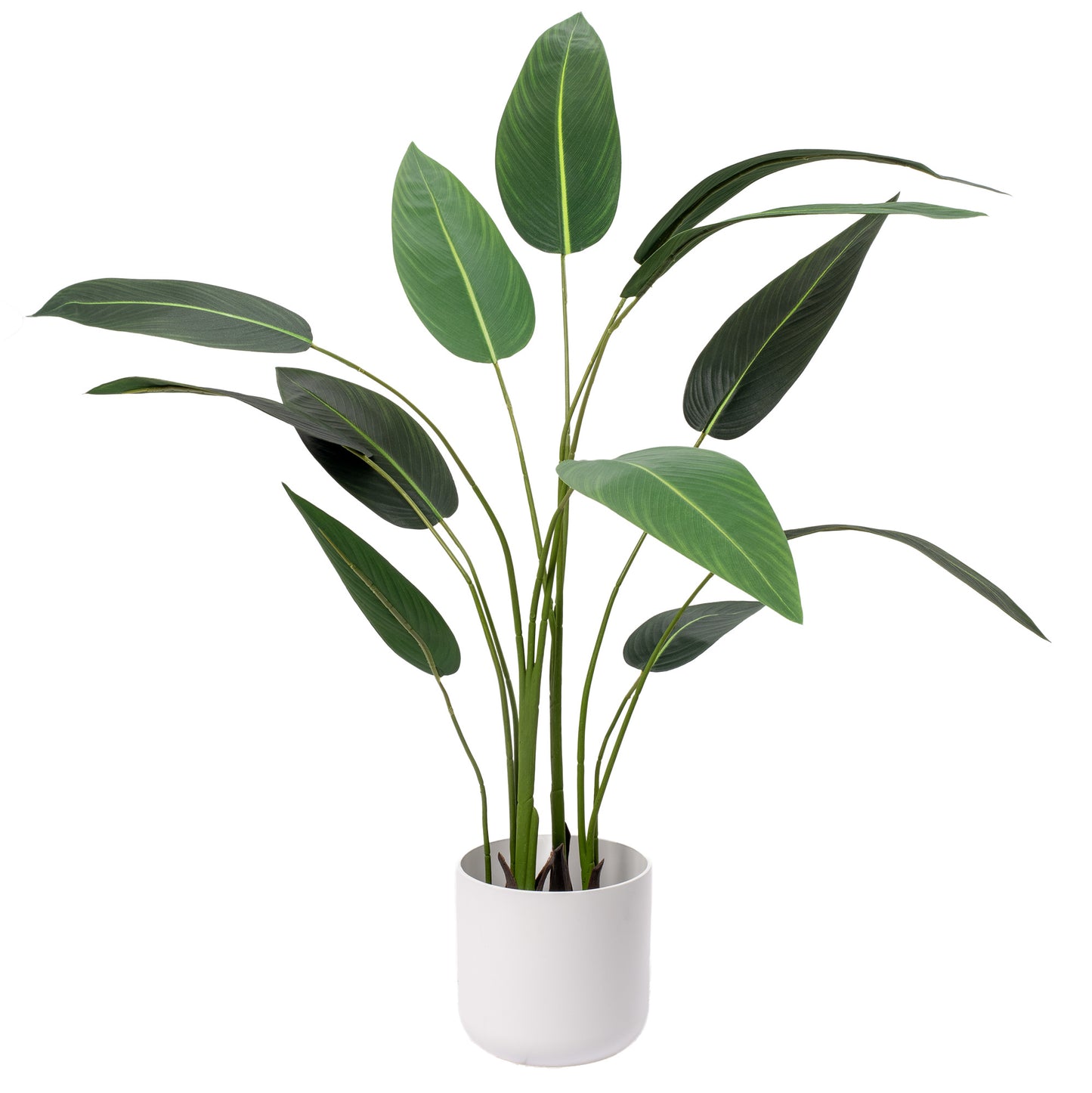 Gardeners Dream Artificial Strelitzia (Master)