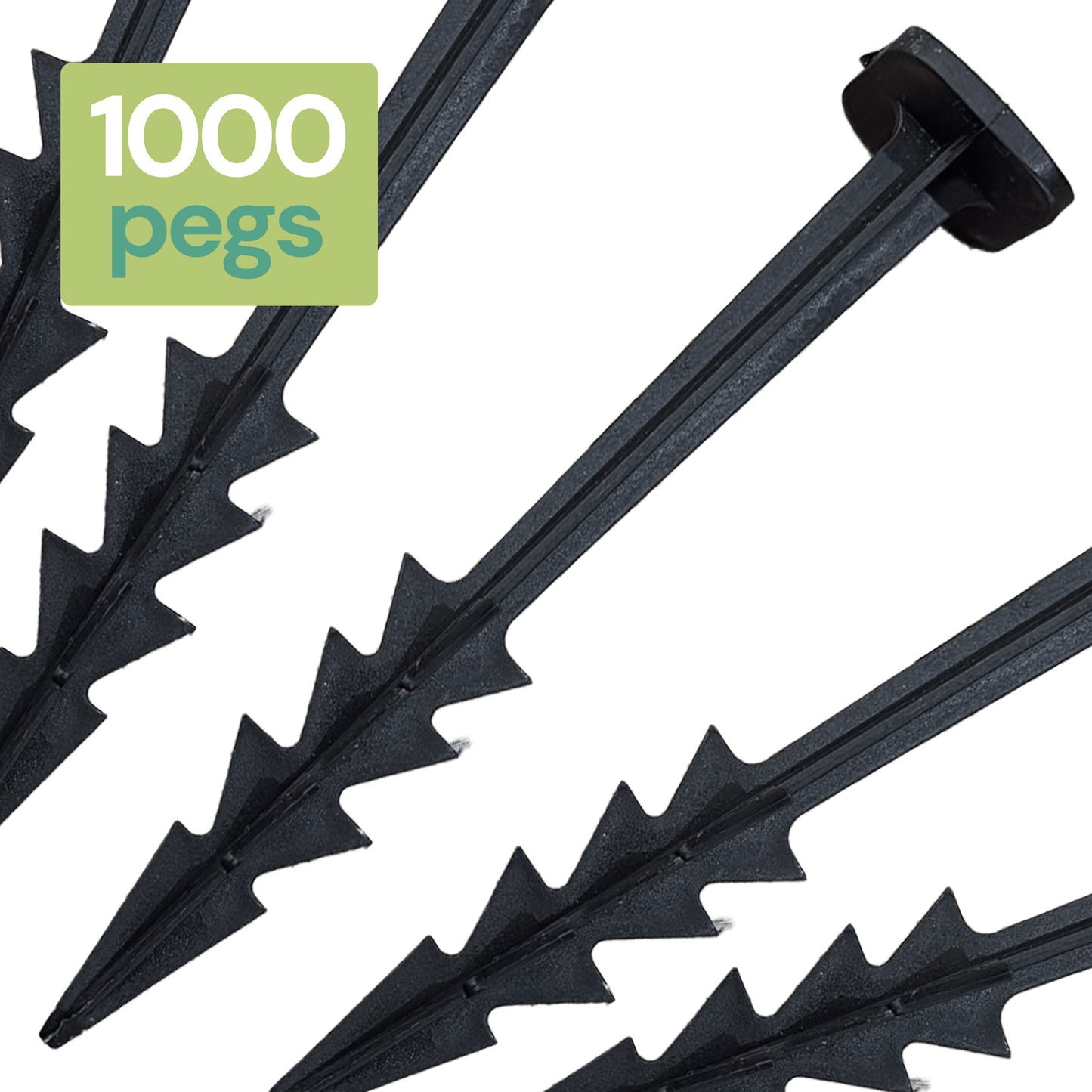Square Pegs 6" (#1000)