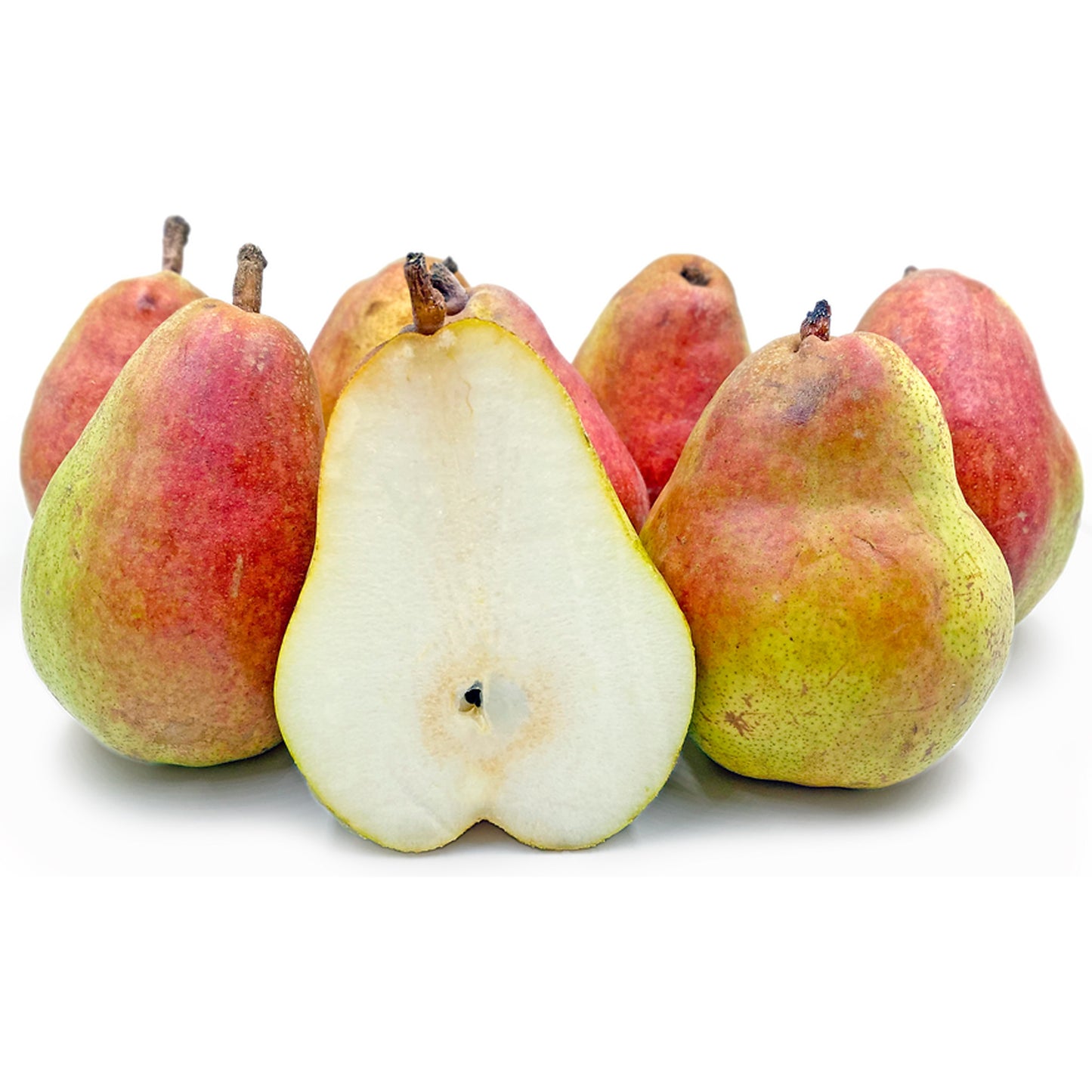 Pear Doyenne du Comice Tree (7.5L, 4-5ft)