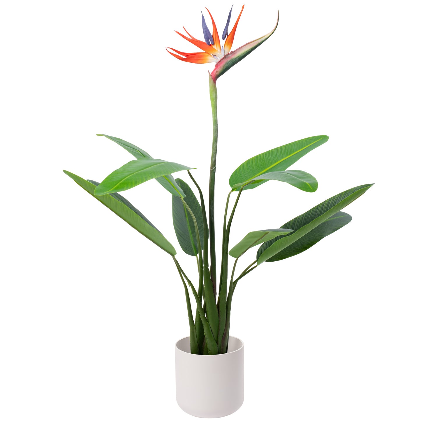 Gardeners Dream Artificial Strelitzia (Master)