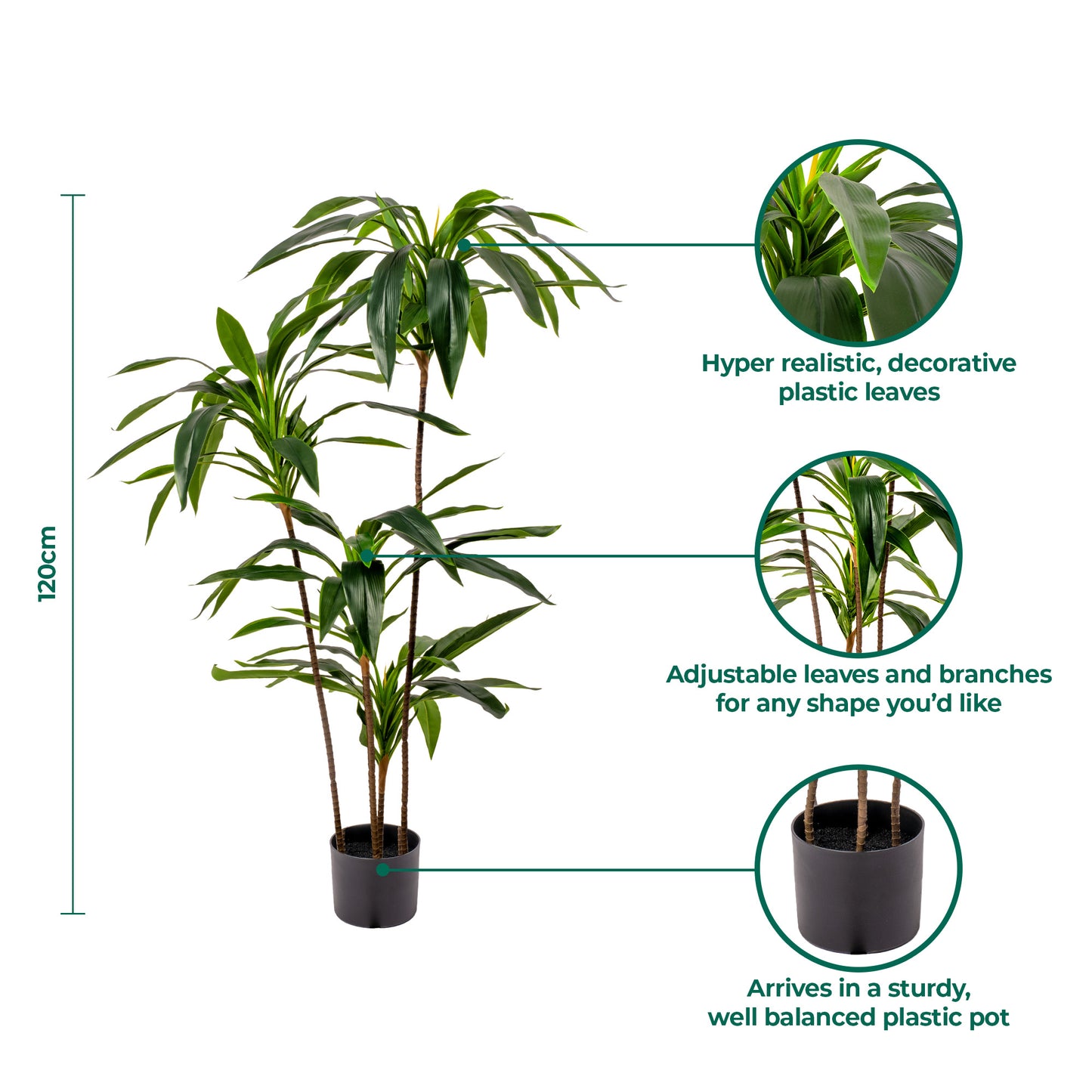 Gardeners Dream Artificial Dracaena Marginata (Master)