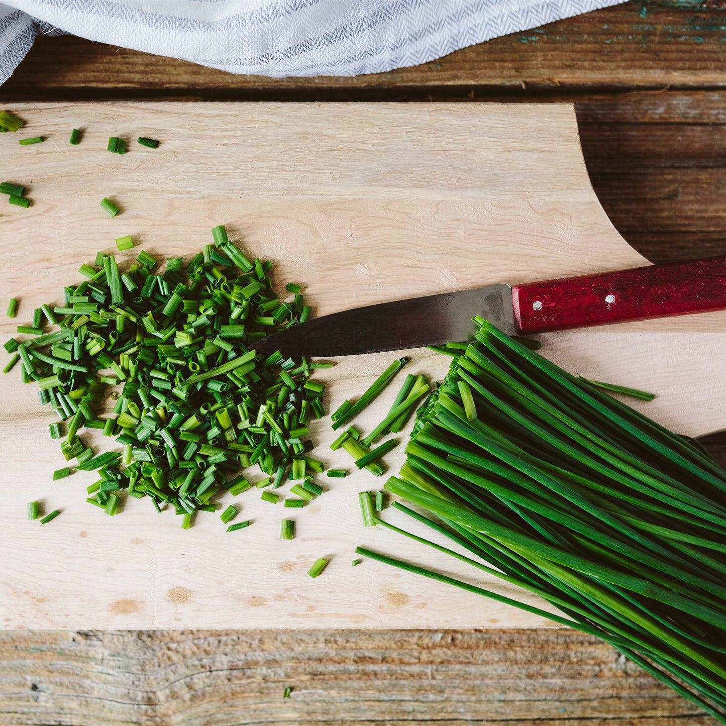 Herb - Chives (8cm)