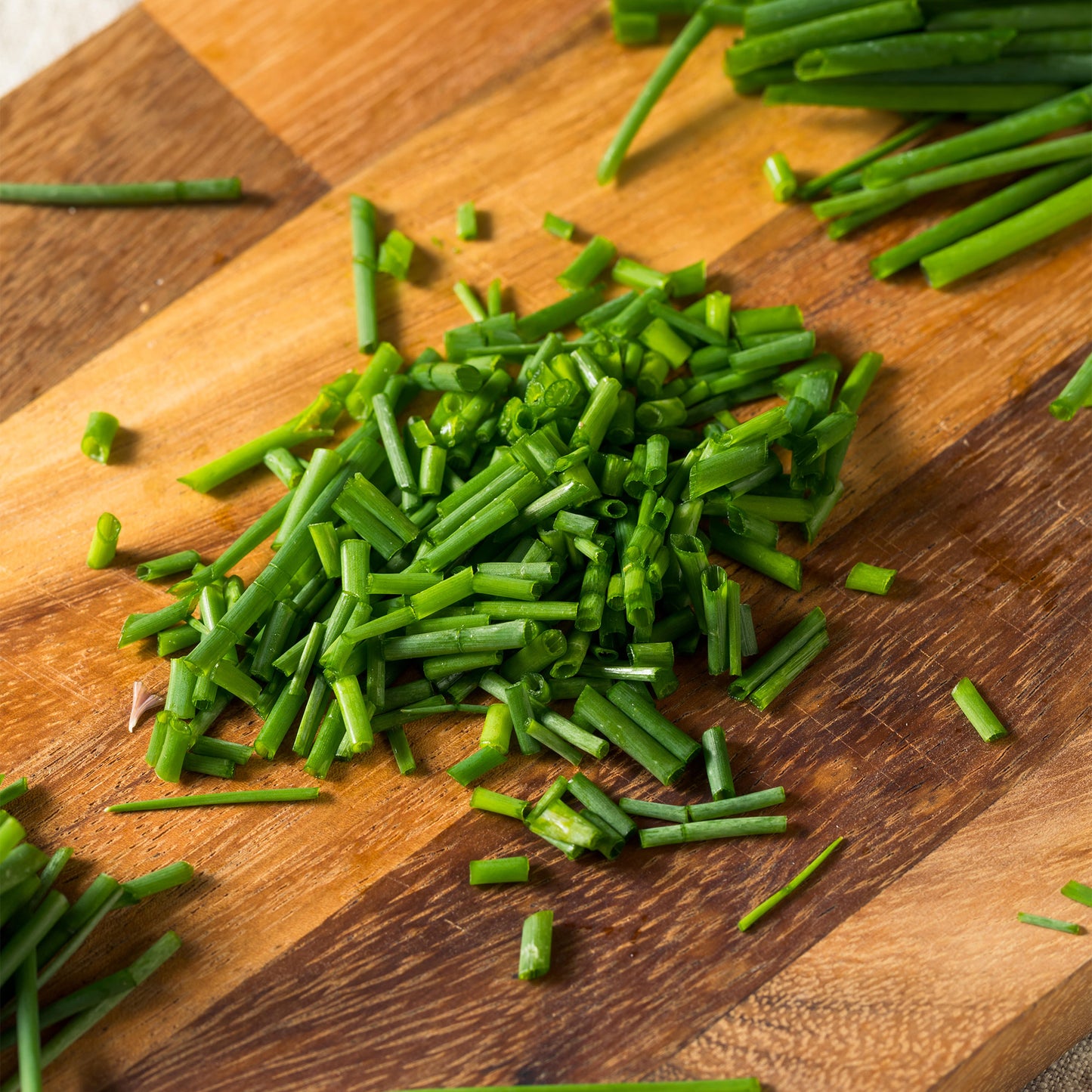 Herb - Chives Garlic (8cm)