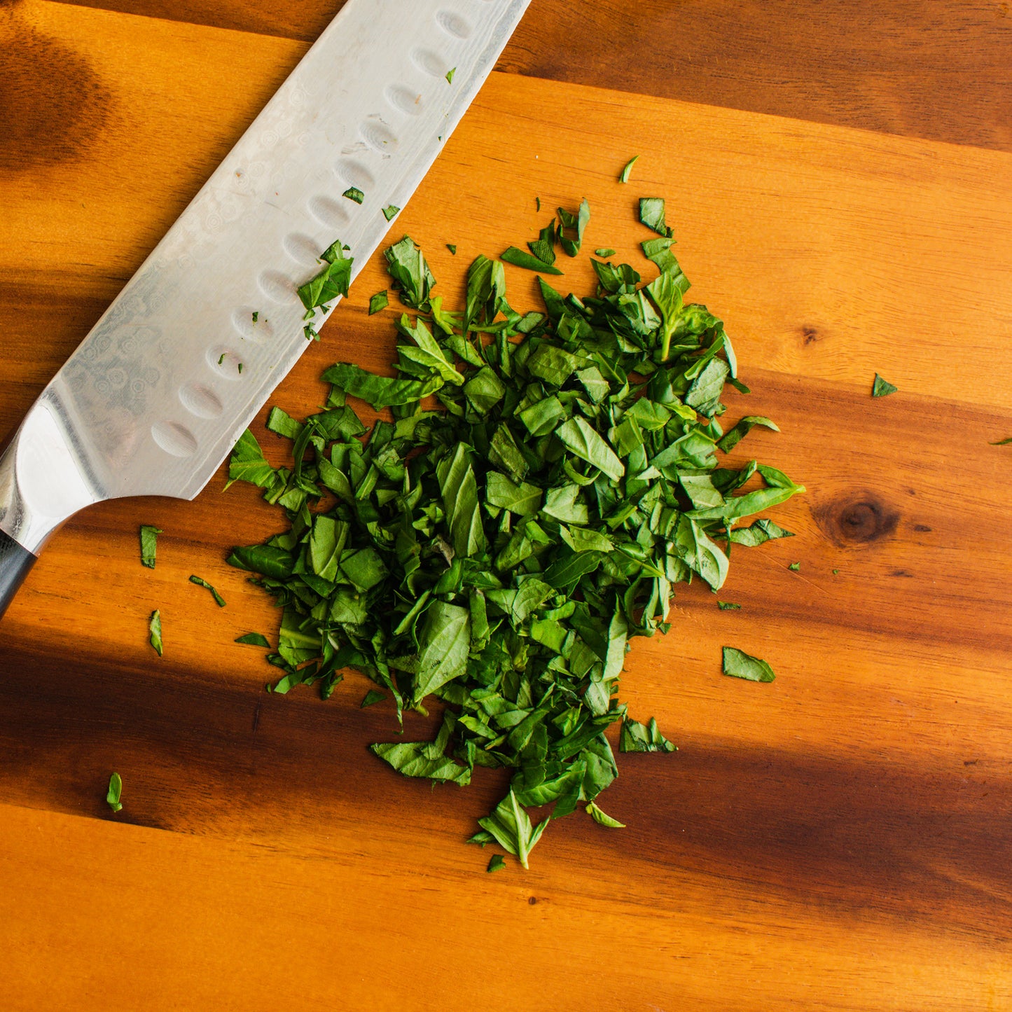 Herb - Basil Greek (8cm)