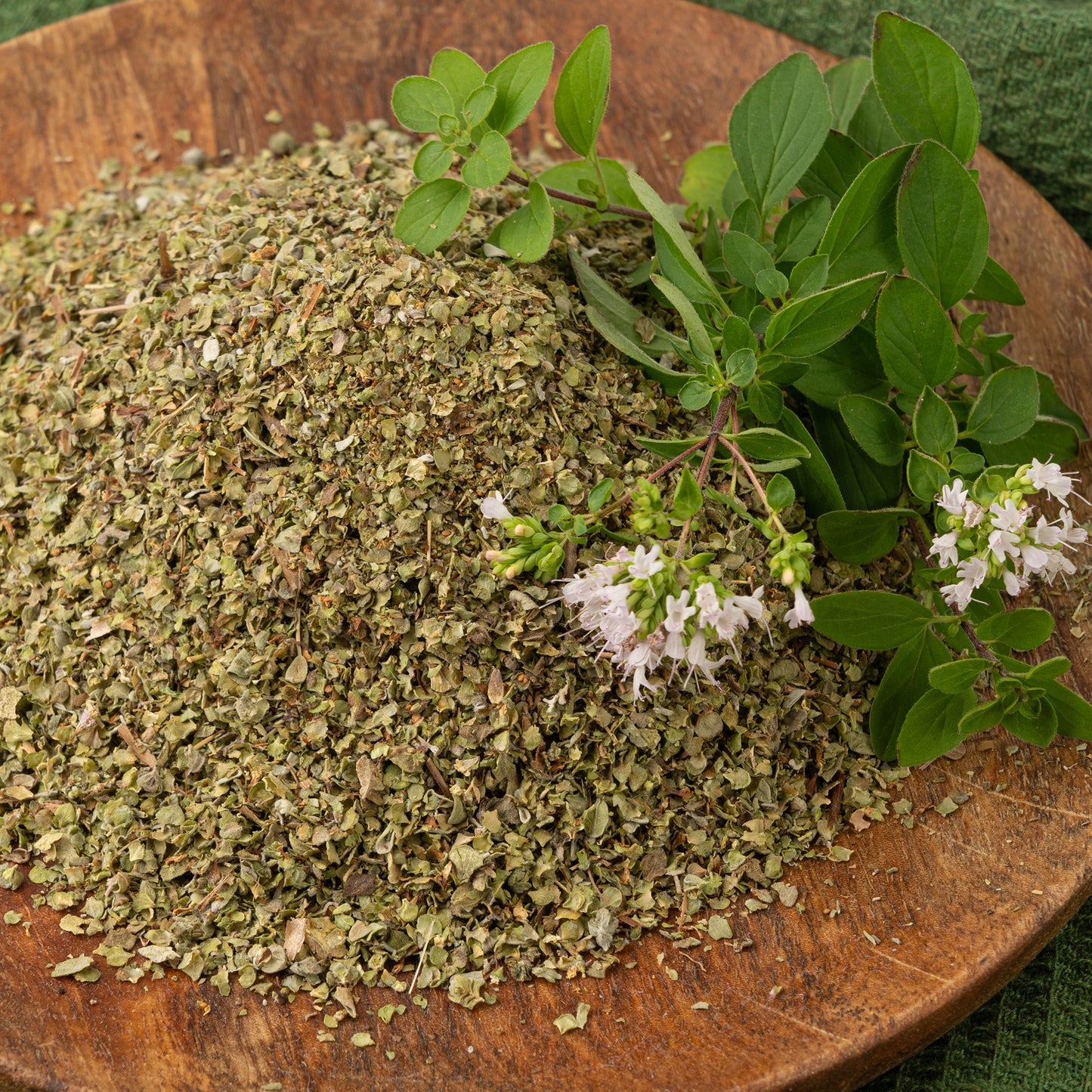 Herb - Marjoram Compact (8cm)