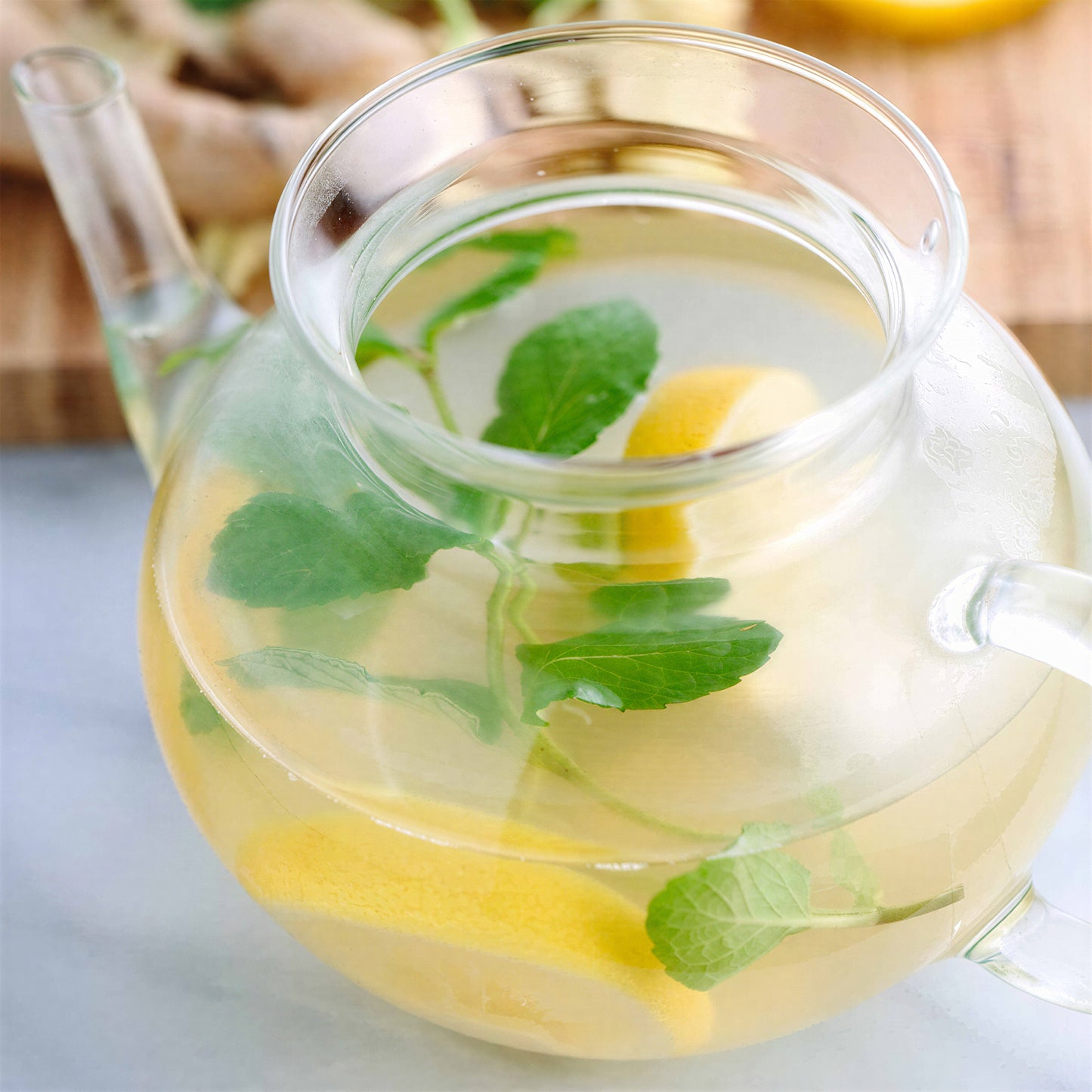 Herb - Mint Ginger (8cm)