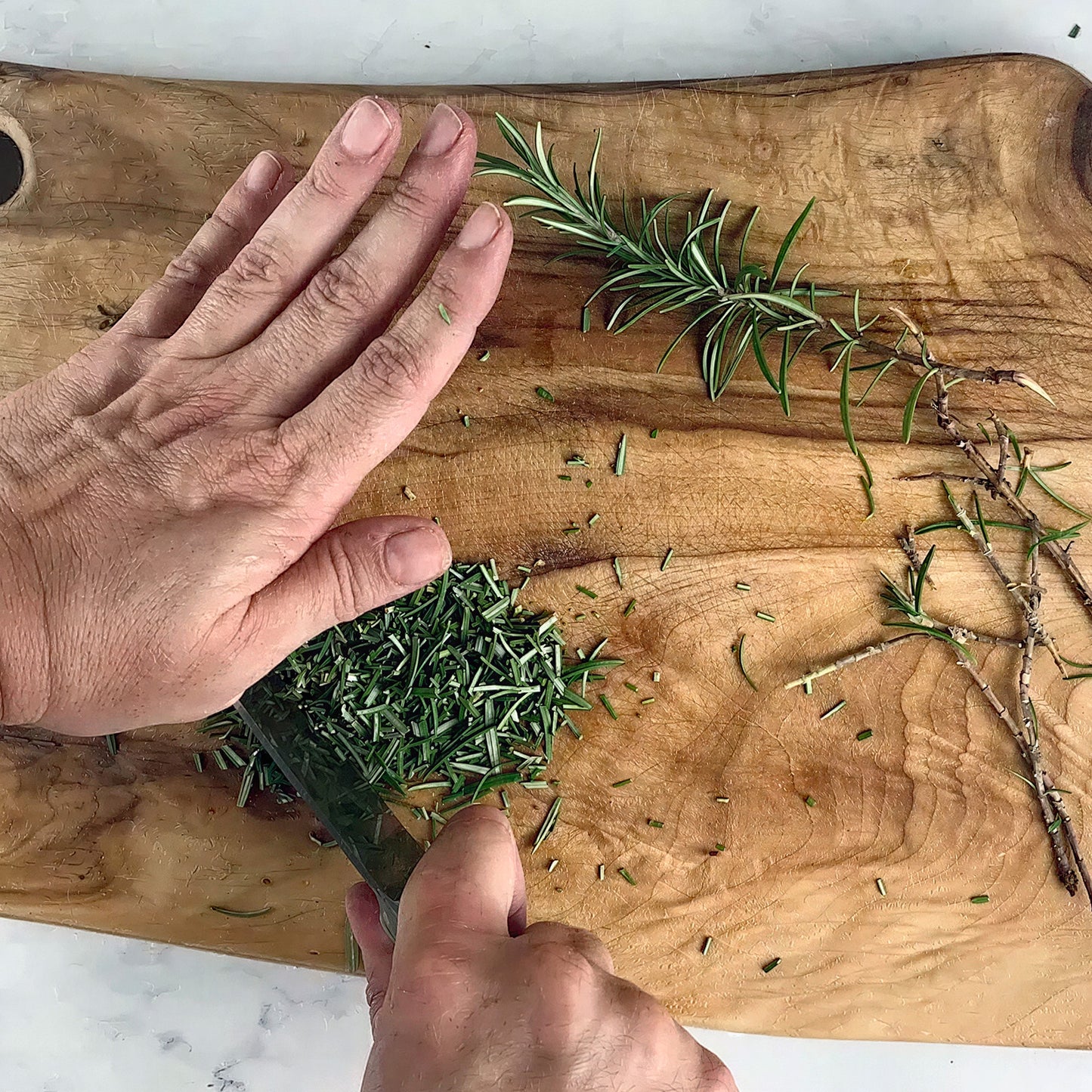 Herb - Rosemary Sudbury Blue (8cm)