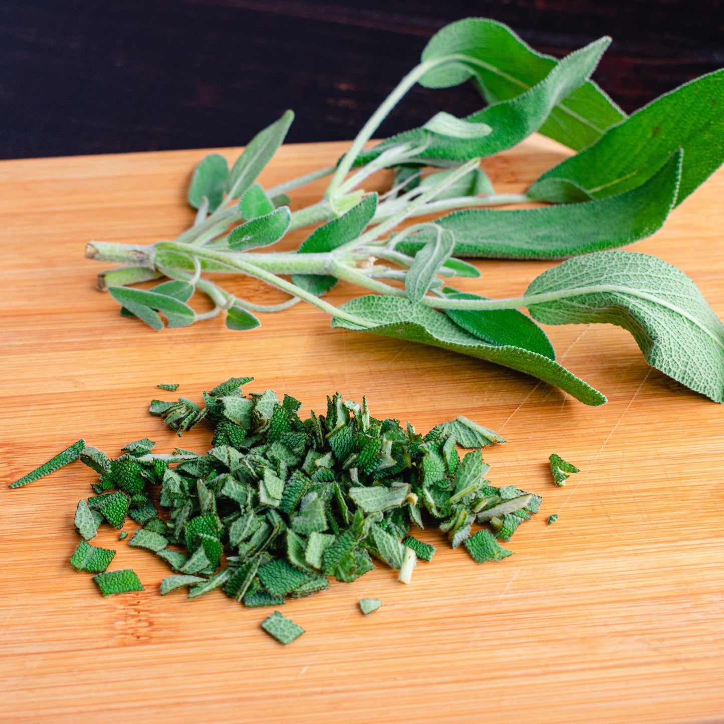 Herb - Sage Common (8cm)