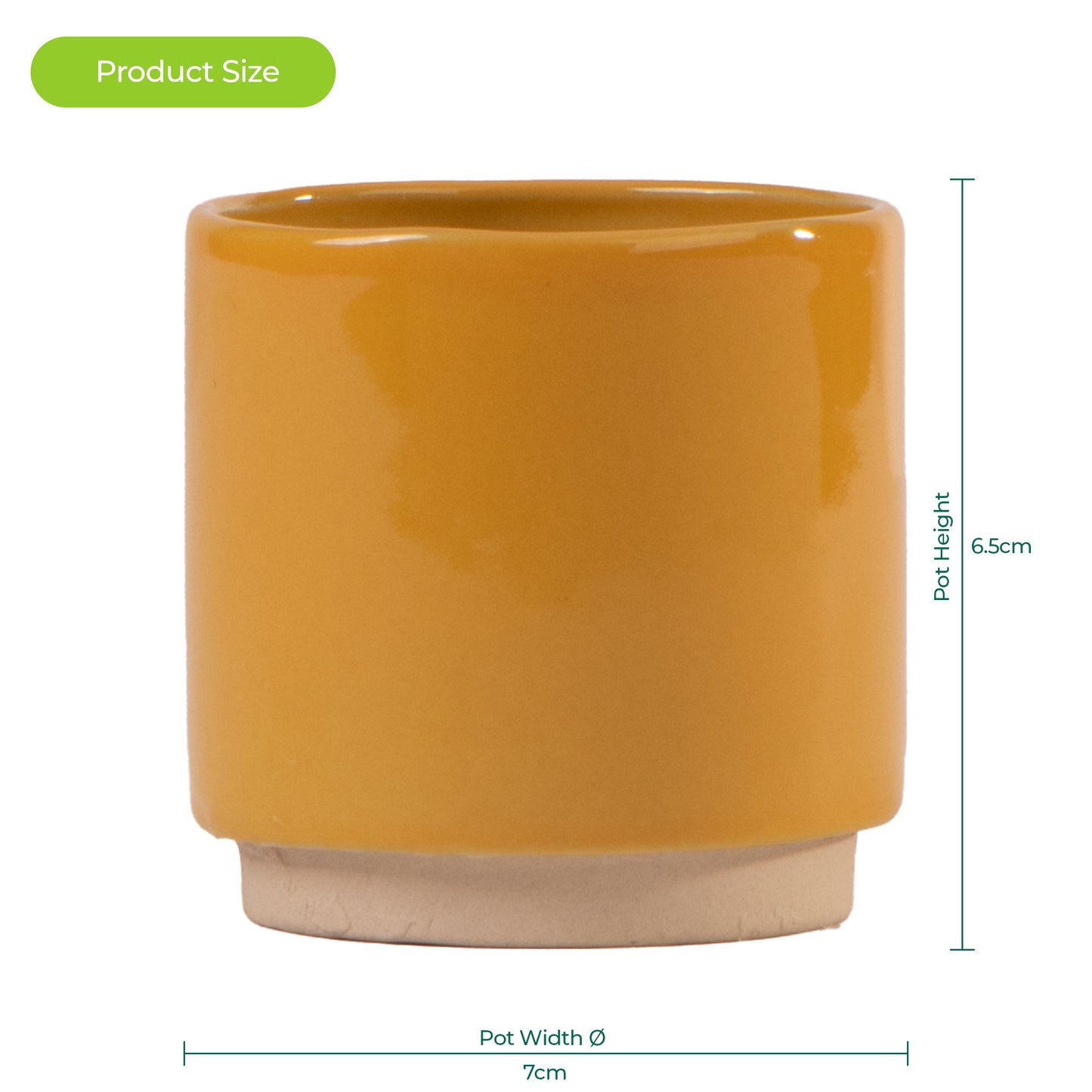 Ivyline Enos Pots (7cm)