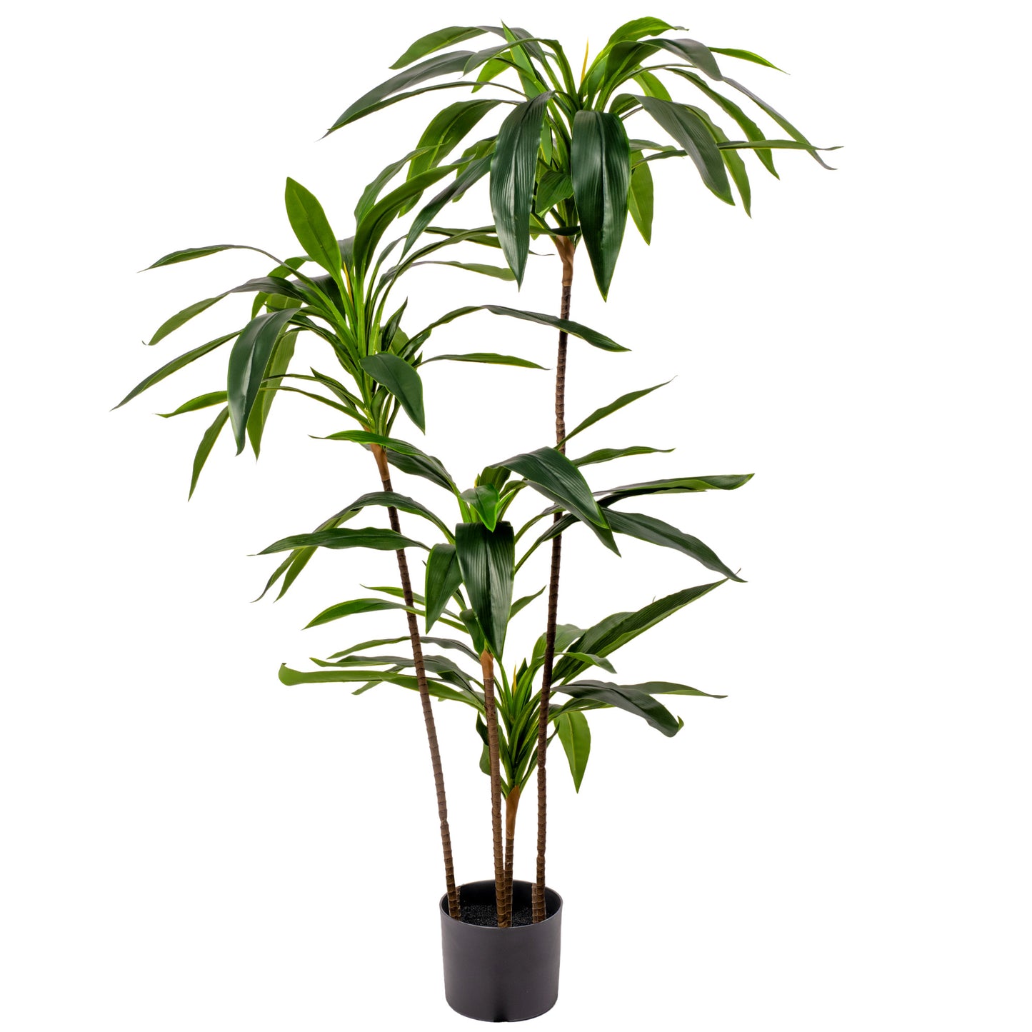 Gardeners Dream Artificial Dracaena Marginata (Master)