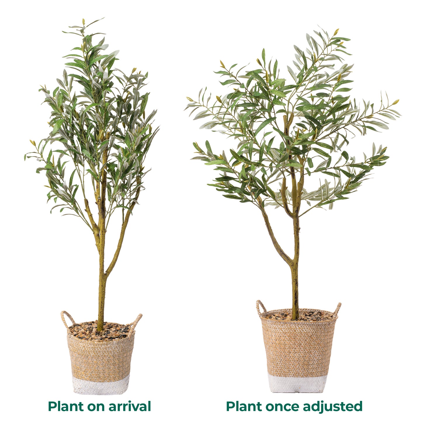 Gardeners Dream Artificial Olive Tree (Master)