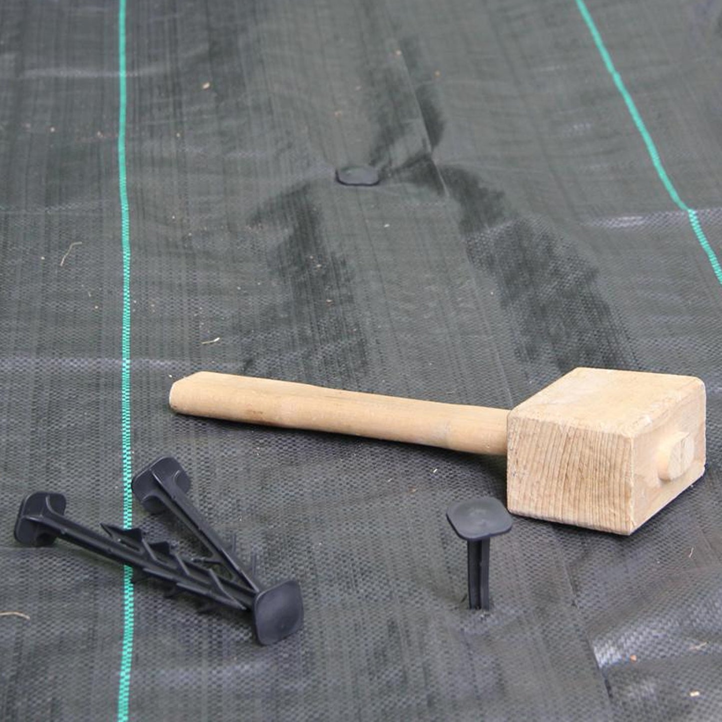 Square Pegs 6" (#500)