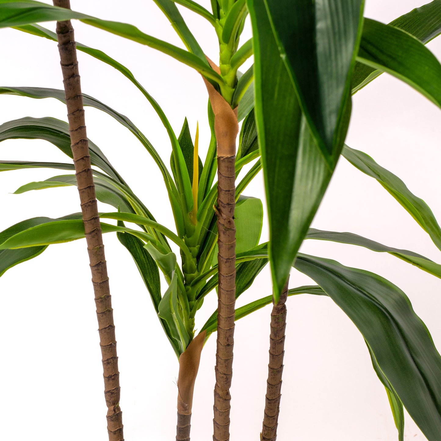 Gardeners Dream Artificial Dracaena Marginata (Master)