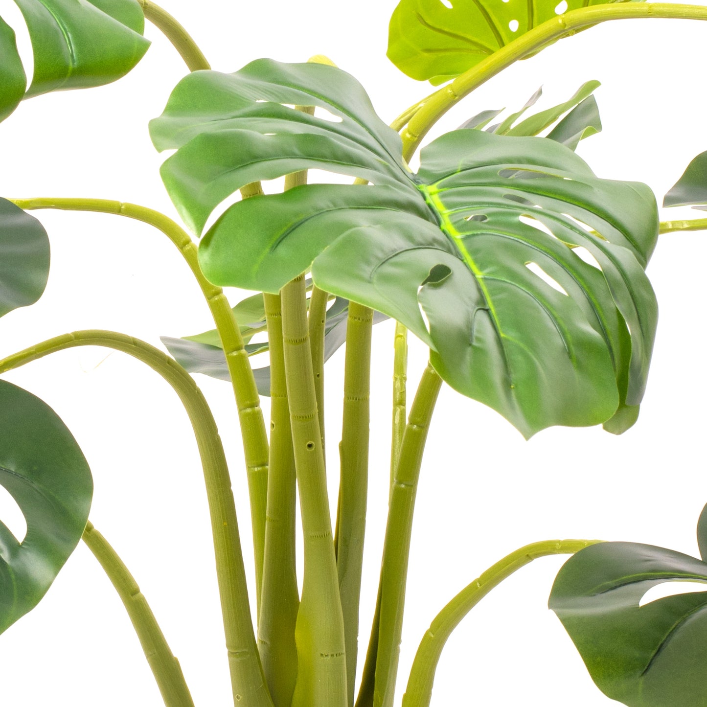 Gardeners Dream Artificial Monstera Deliciosa (Master)