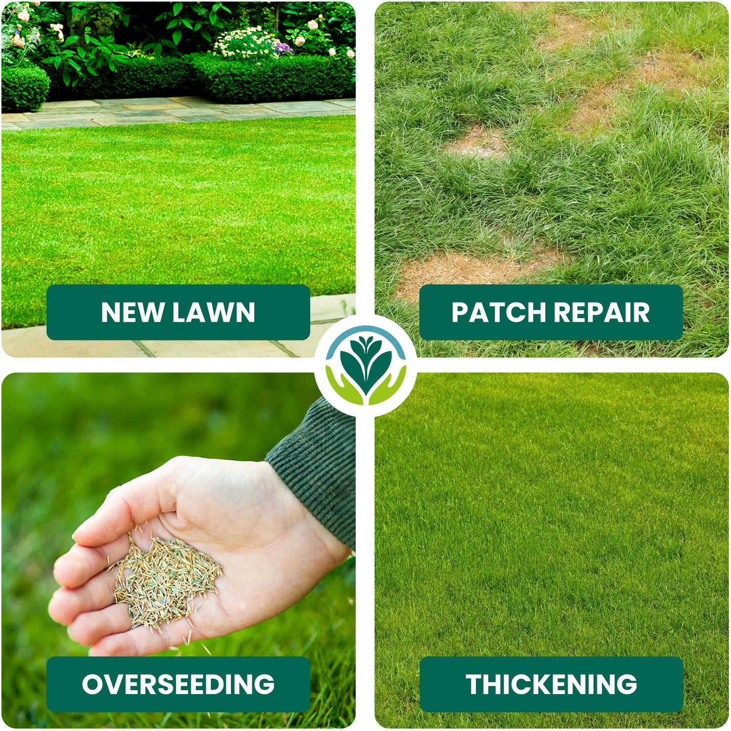 5KG General Purpose Grass Seed