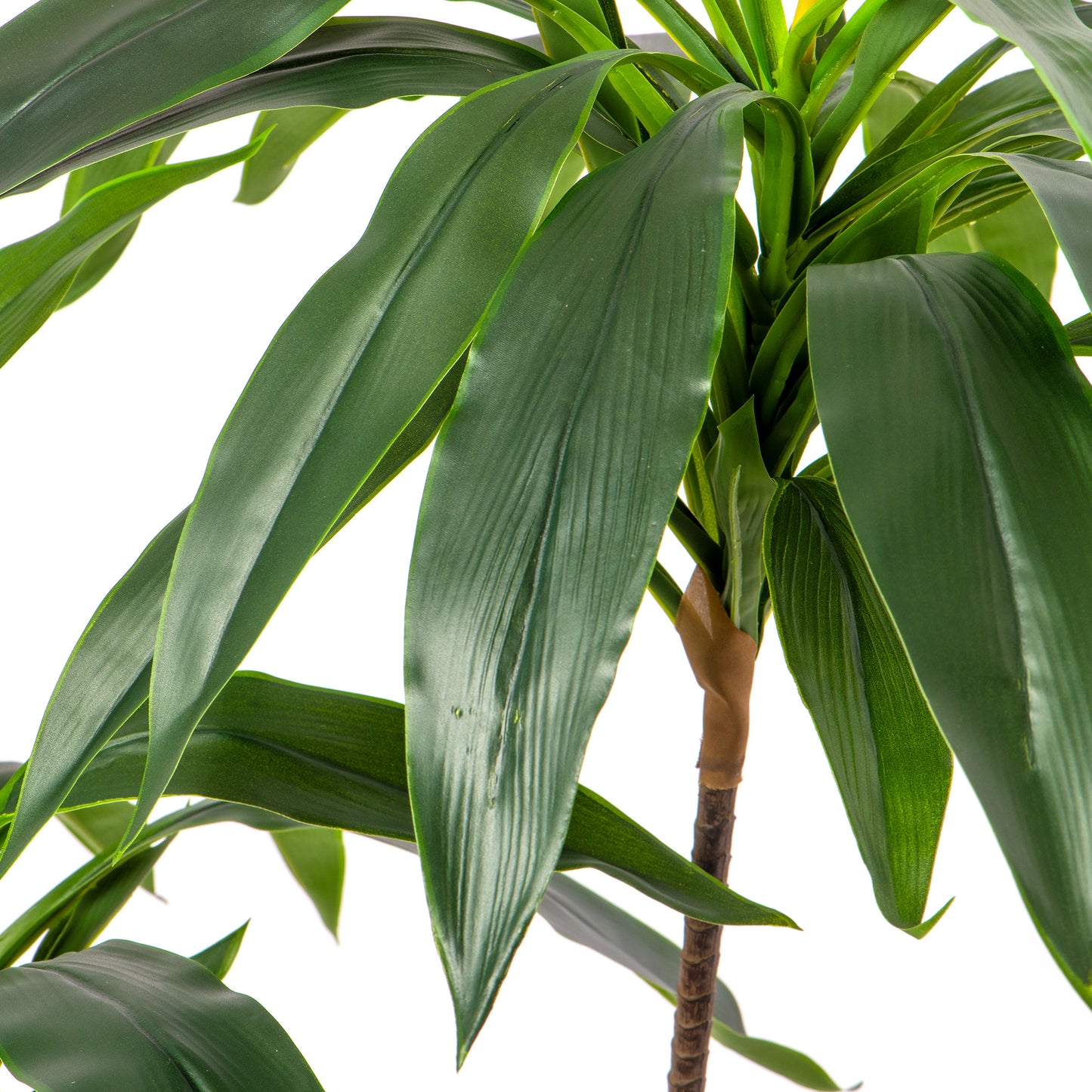 Gardeners Dream Artificial Dracaena Marginata (Master)