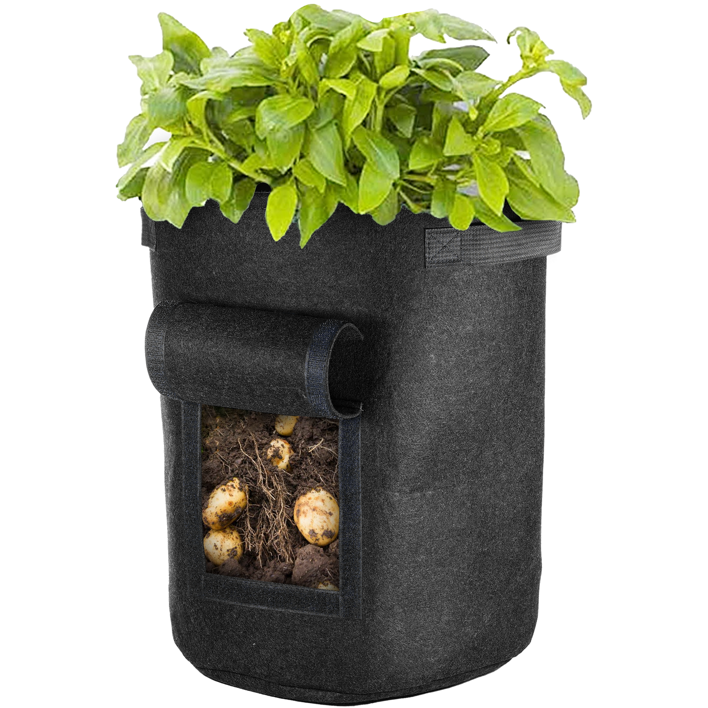 Vegetable Window Grow Bag