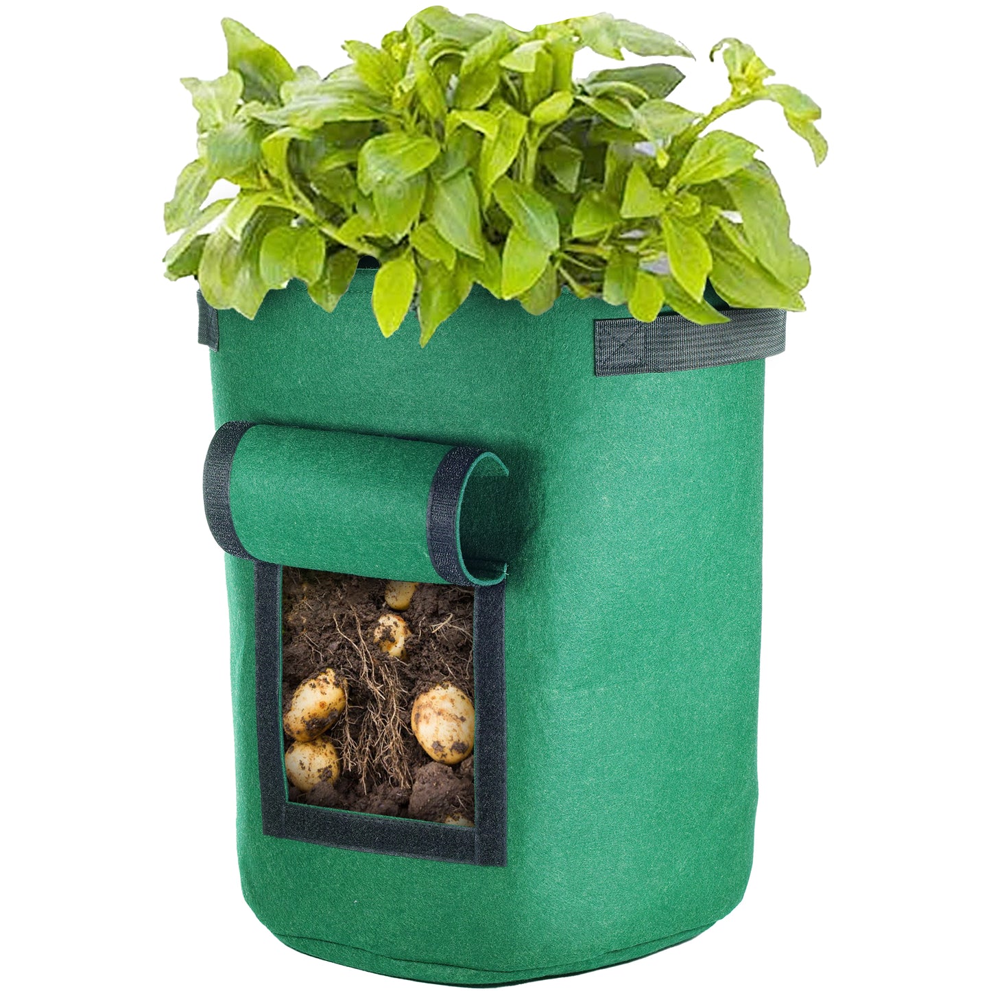 Vegetable Window Grow Bag