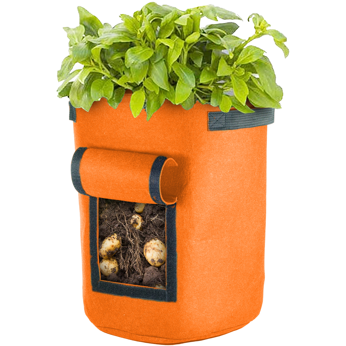 Vegetable Window Grow Bag