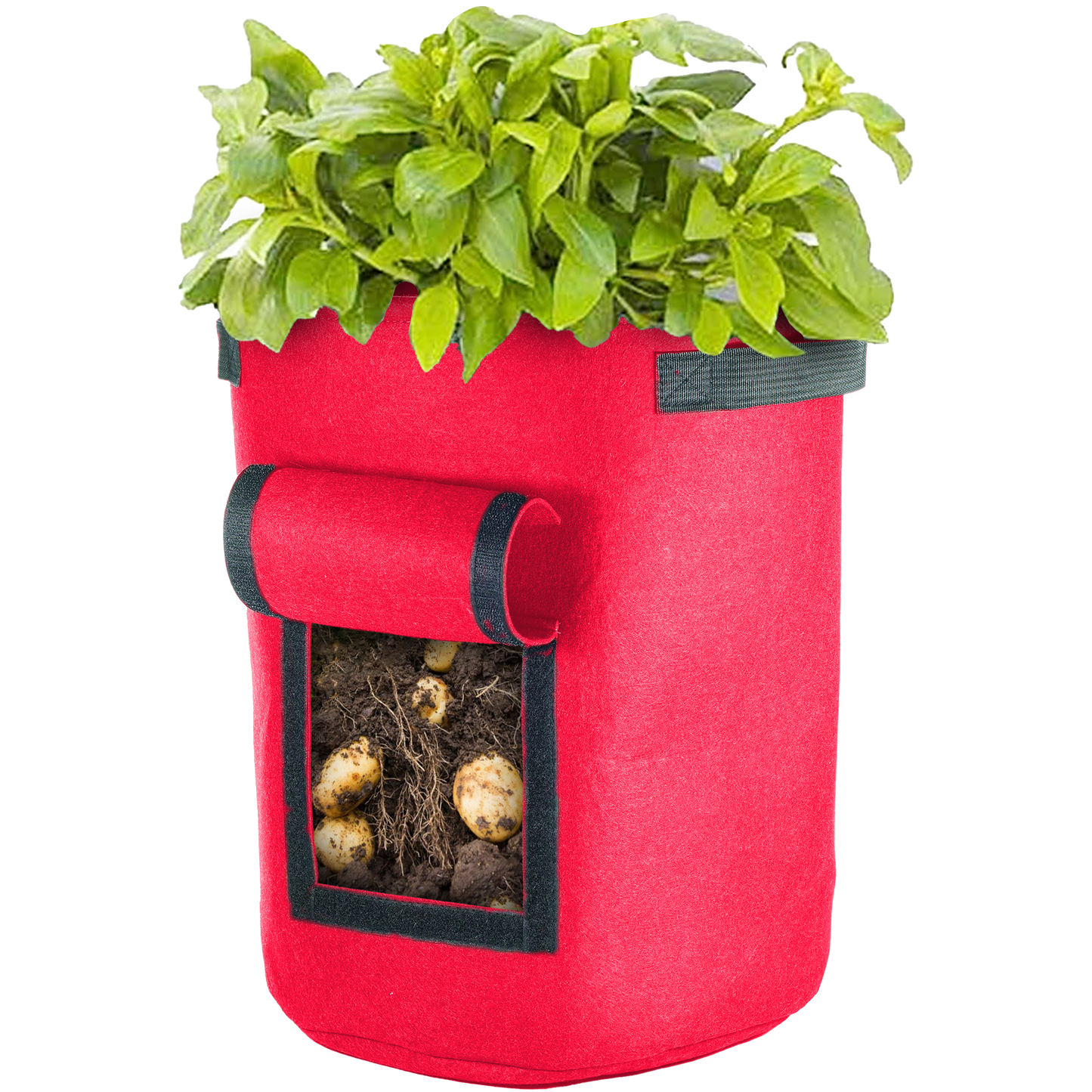 Vegetable Window Grow Bag