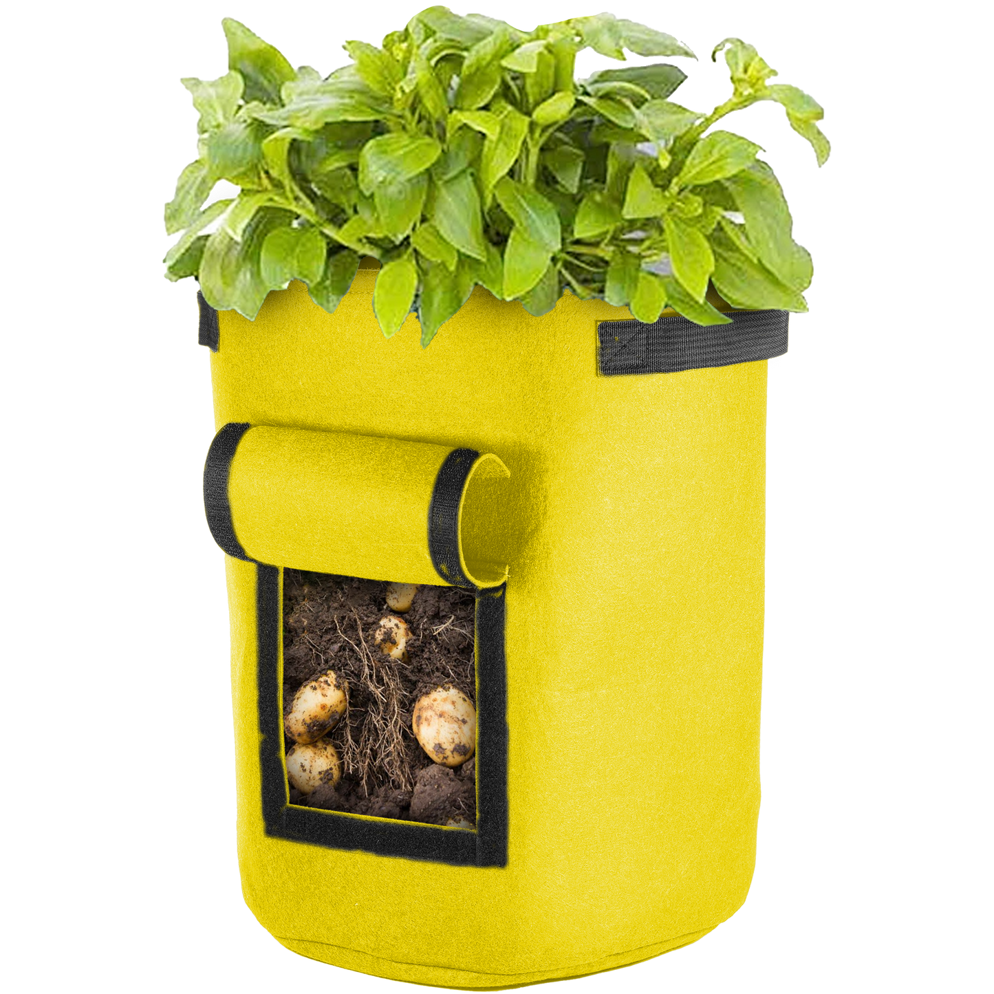 Vegetable Window Grow Bag