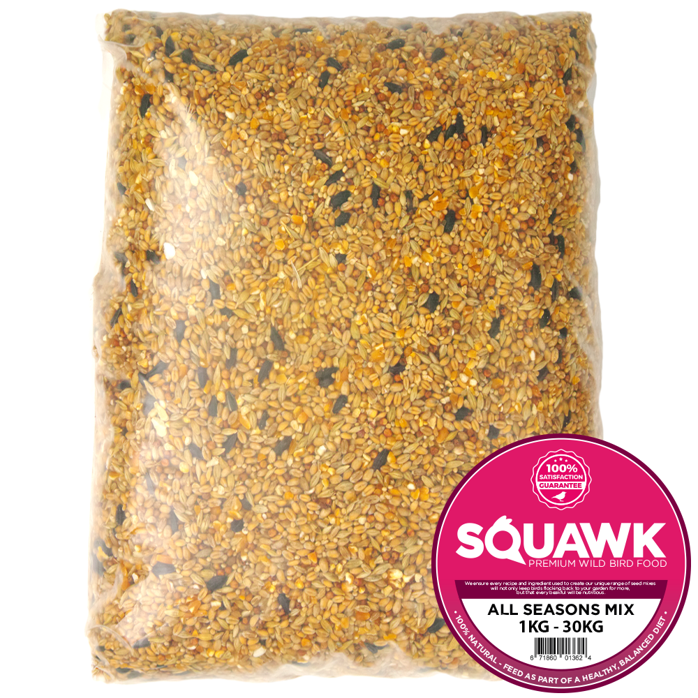 SQUAWK All Seasons Wild Bird Food Mix (Kilograms)