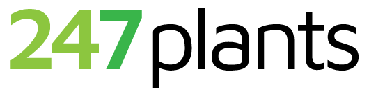 247plants logo