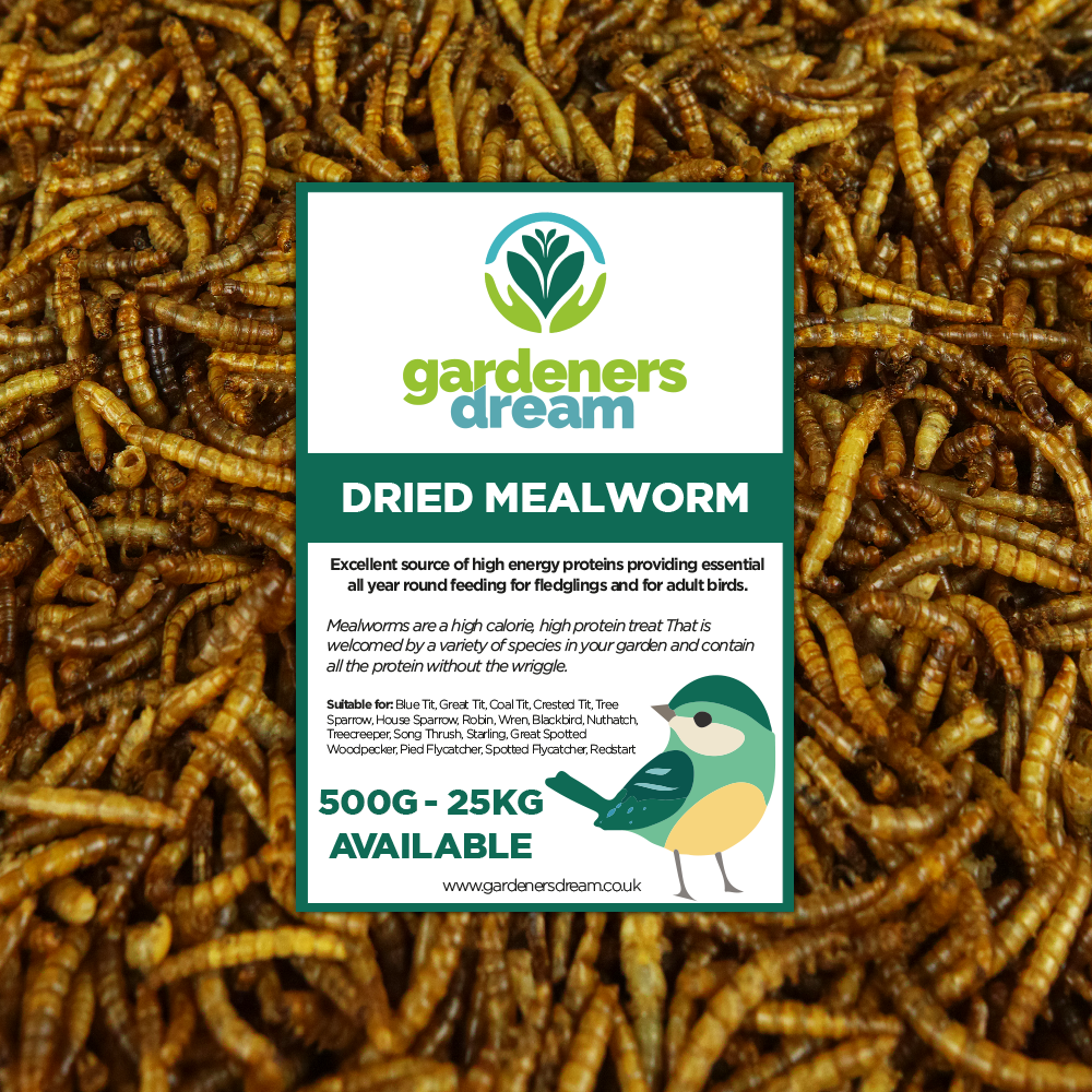 GardenersDream Dried Mealworms