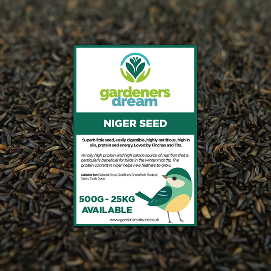 GardenersDream Niger Seeds
