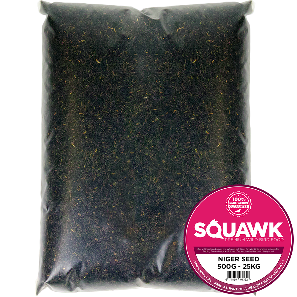 SQUAWK Niger Seeds