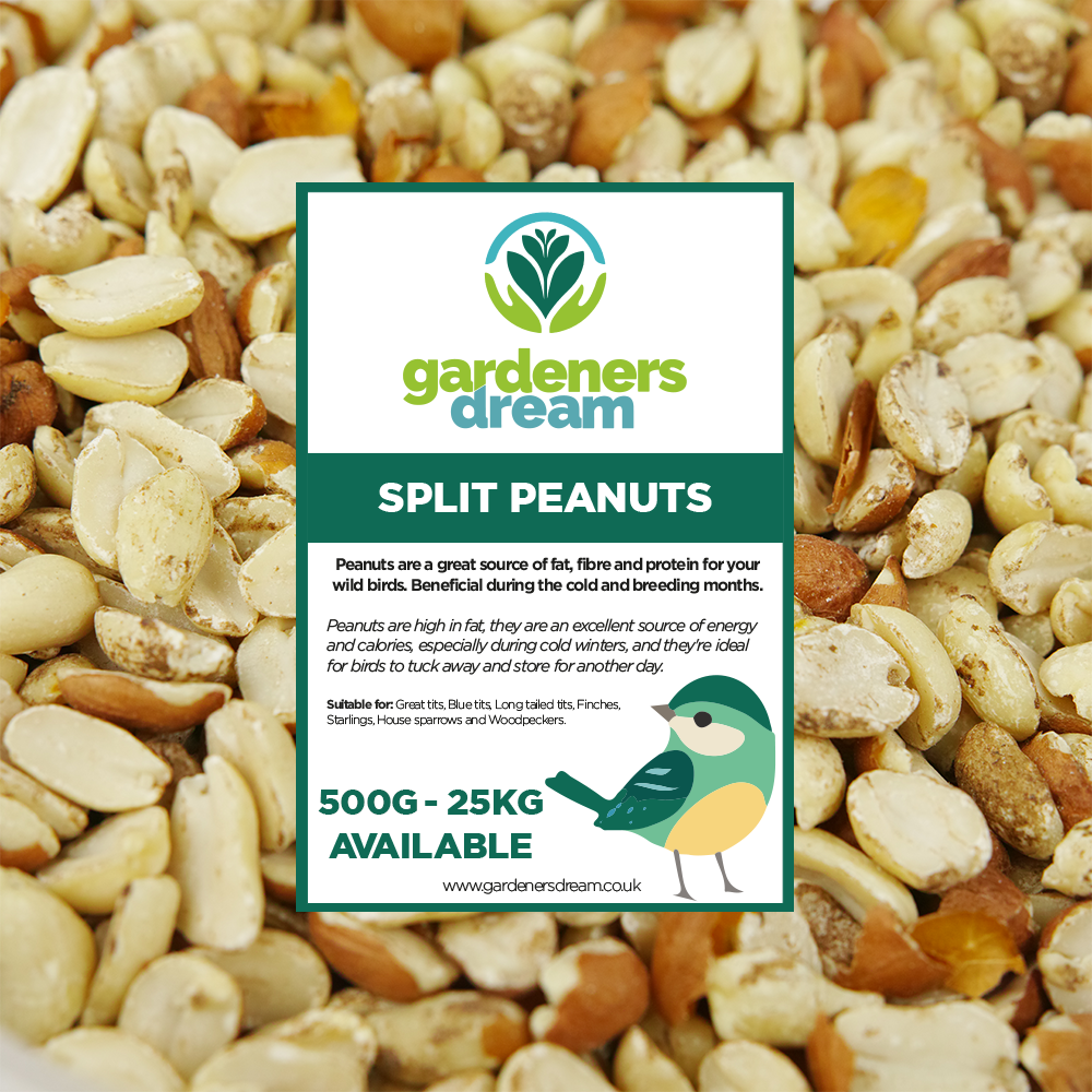 GardenersDream Split Peanuts