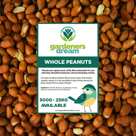 GardenersDream Whole Peanuts