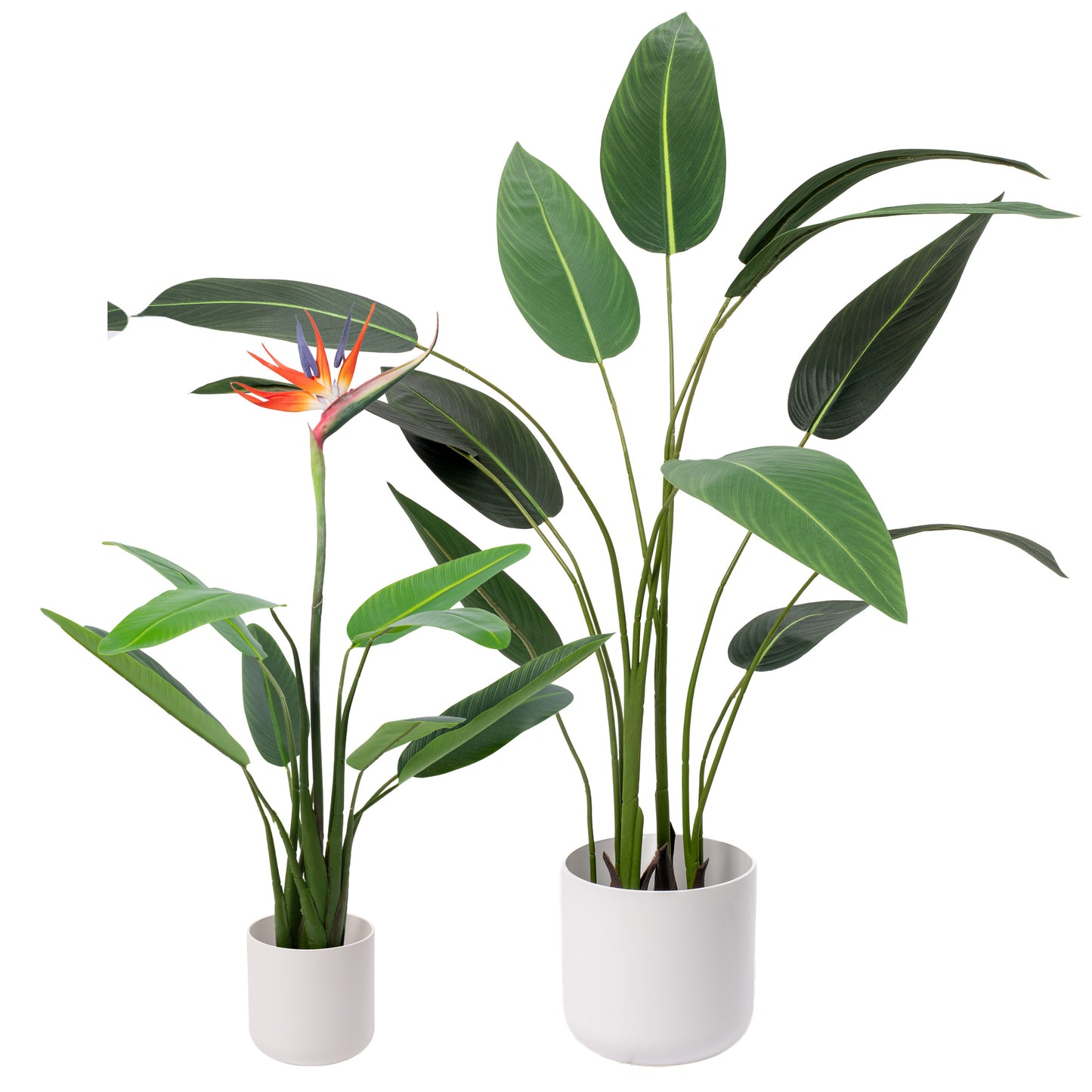 Gardeners Dream Artificial Strelitzia (Master)