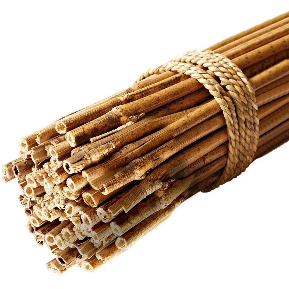 GroundMaster Bamboo Canes MASTER