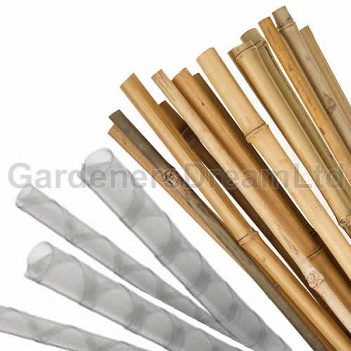 Bamboo Canes 3ft + Spiral Tree Guards