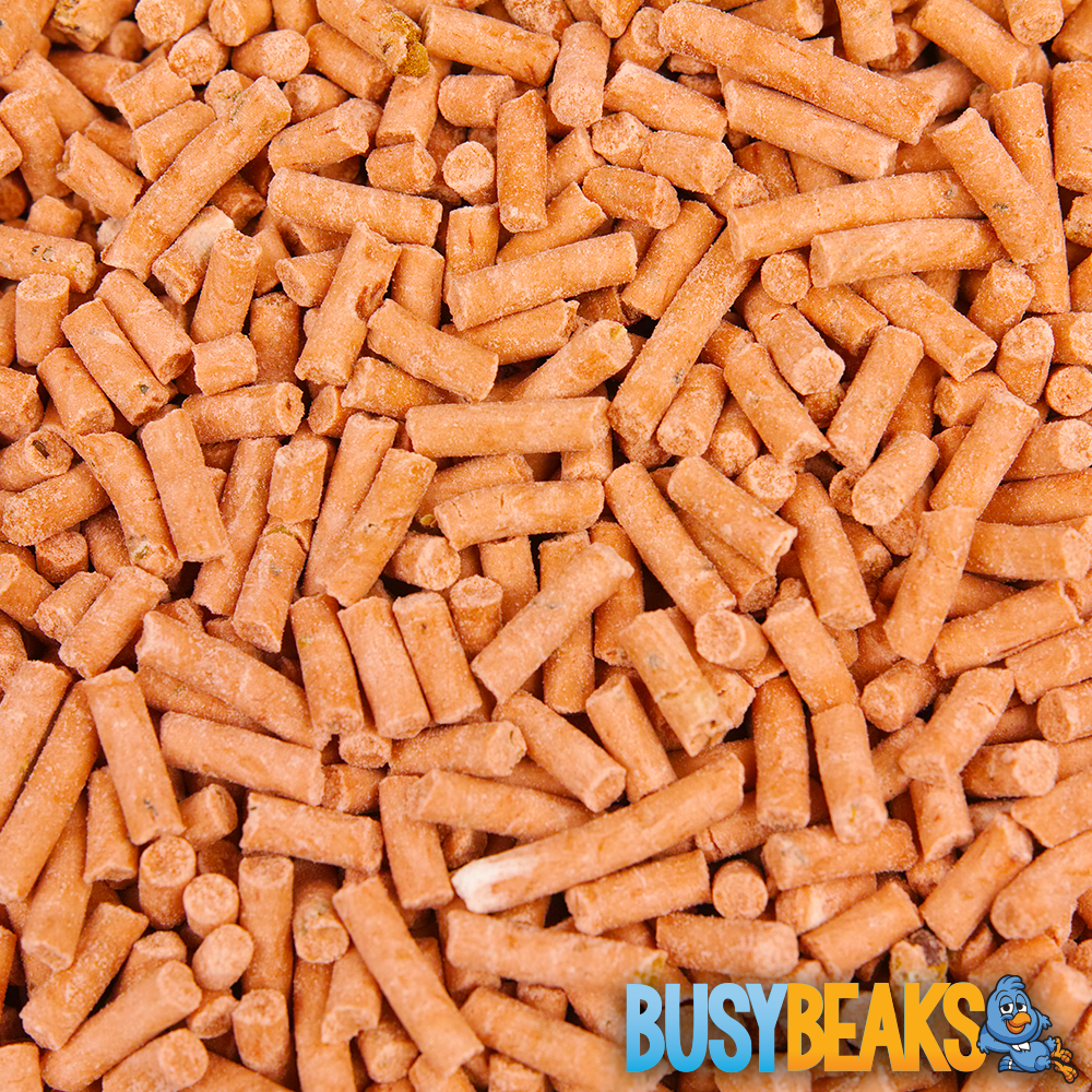 BusyBeaks Berry Suet Pellets