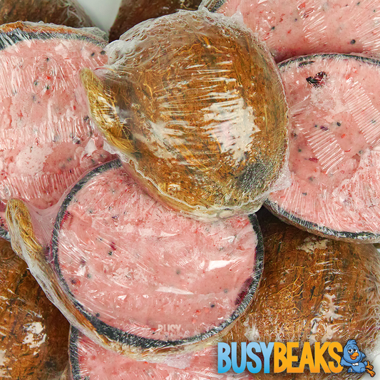BusyBeaks Berry Suet Filled Coconut Halves