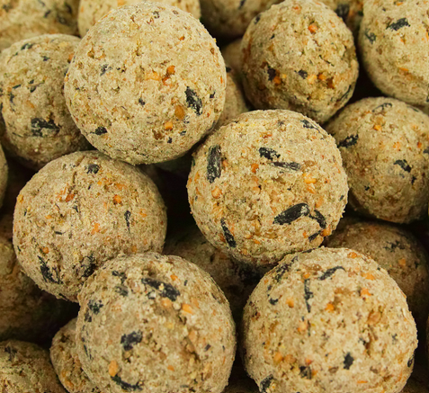 BusyBeaks Suet Fat Balls