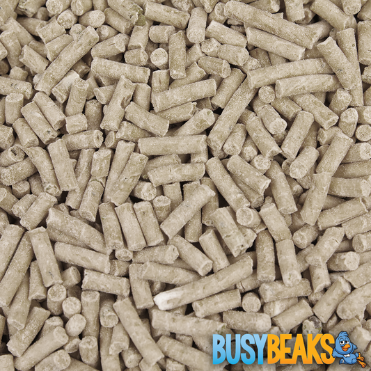 BusyBeaks Mealworm Suet Pellets
