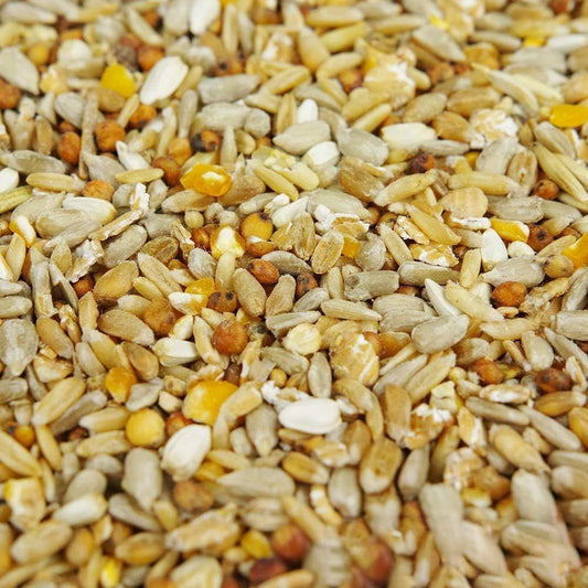 BusyBeaks No Mess Seed Mix