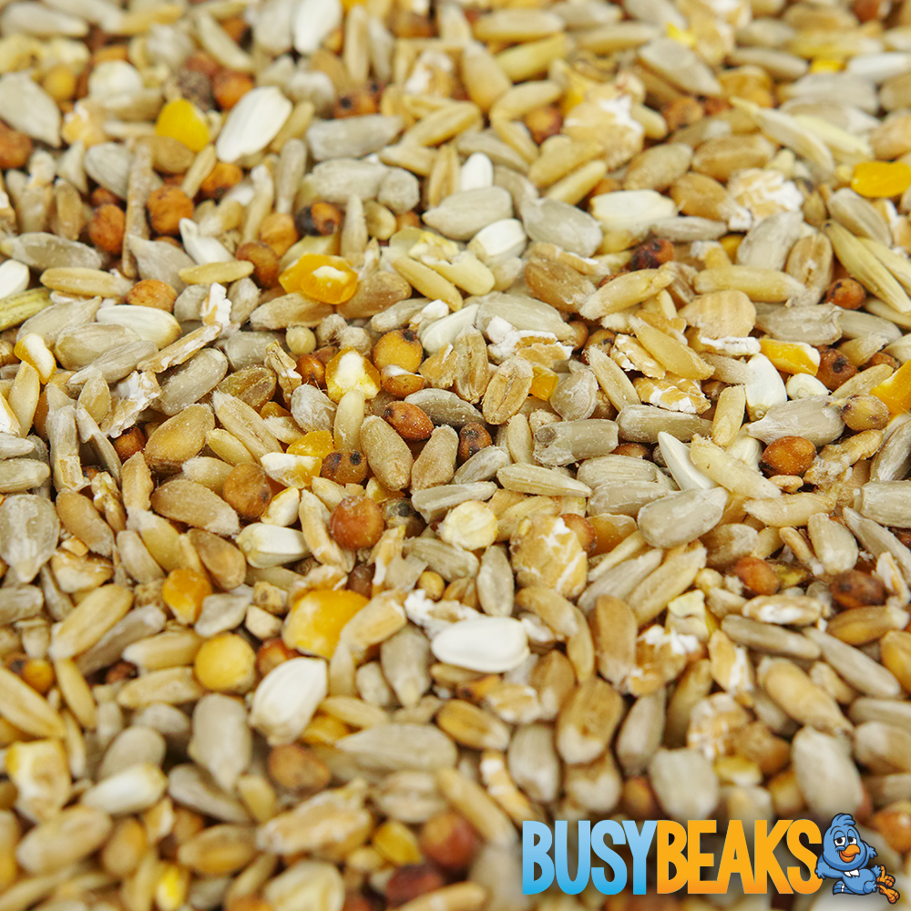 BusyBeaks No Mess Seed Mix