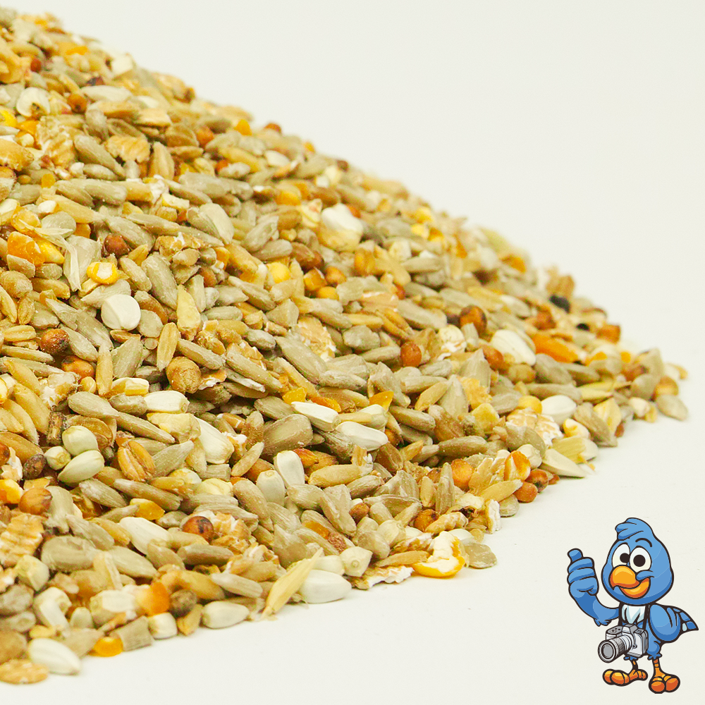 BusyBeaks No Mess Seed Mix