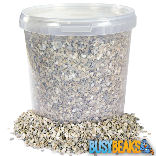 BusyBeaks Hen Sized Oyster Shell