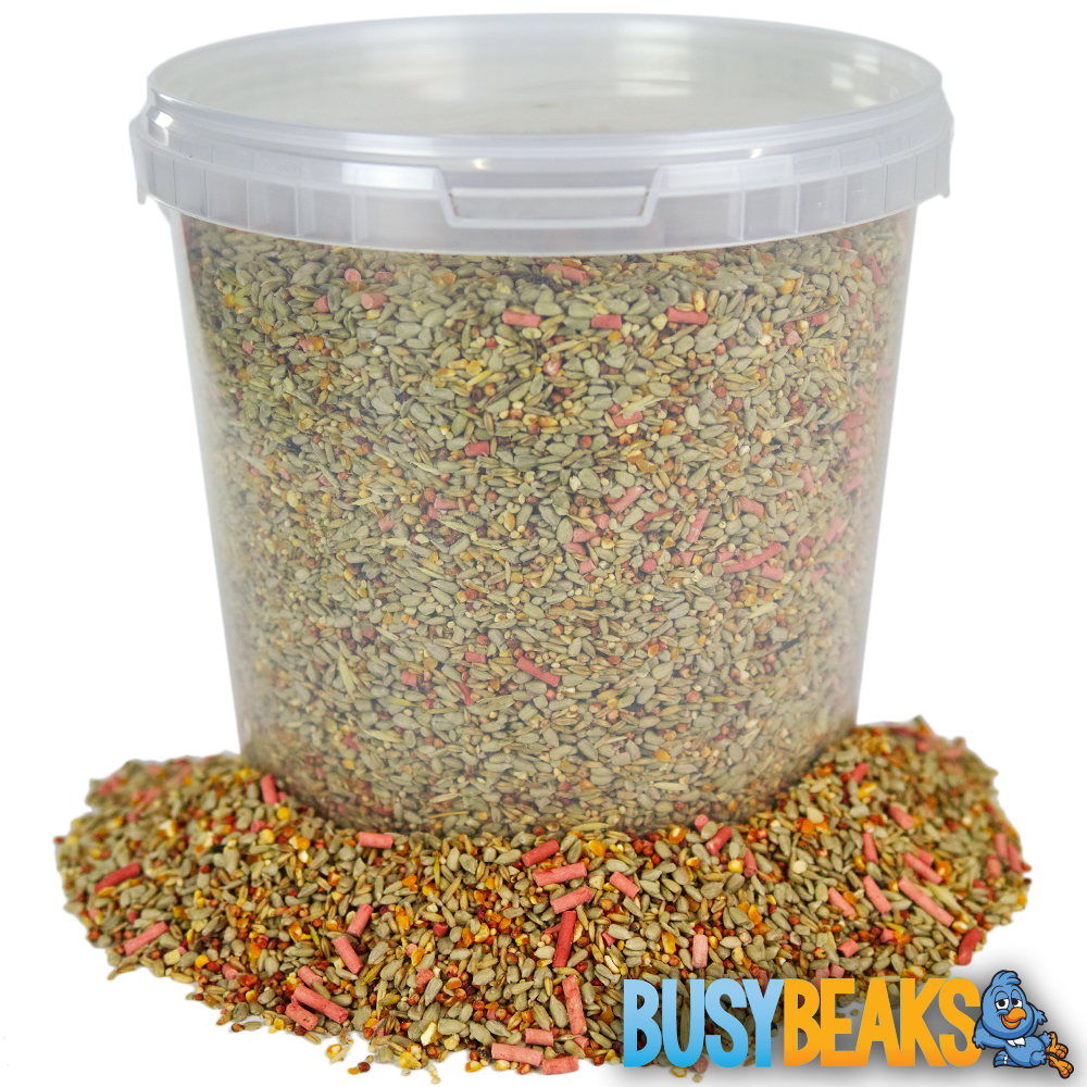 BusyBeaks Premium Wild Bird Food