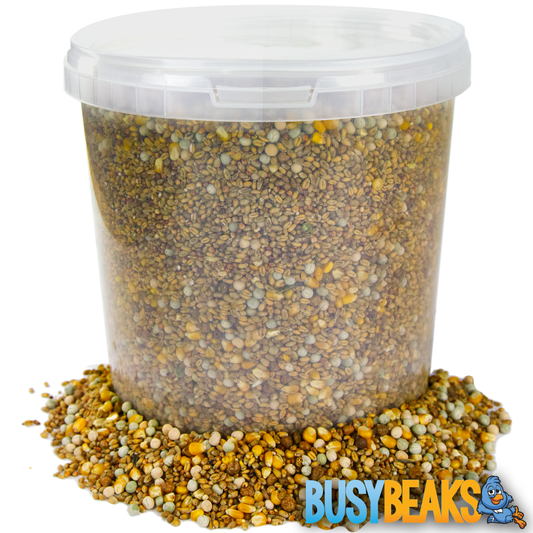 BusyBeaks Four Seasons Pigeon Corn