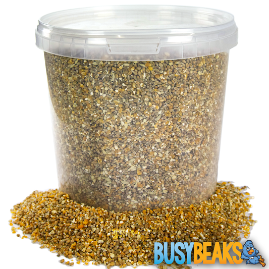 BusyBeaks Mixed Poultry Corn