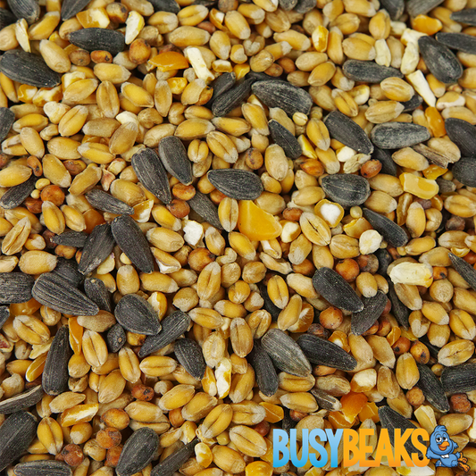 BusyBeaks Year Round Wild Bird Food Mix